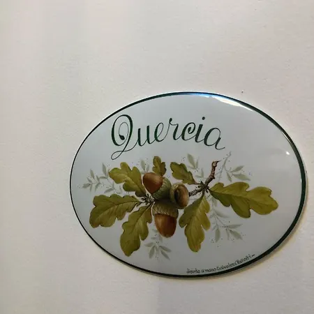 Shmitanka * Servigliano