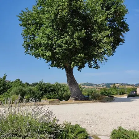 Shmitanka Szálloda *