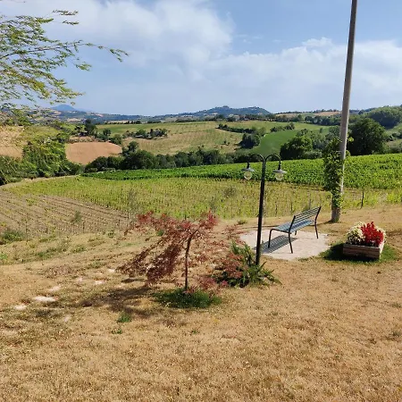 Shmitanka Servigliano